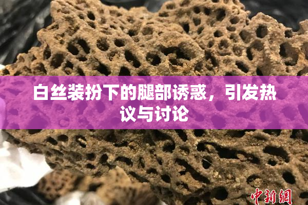 白丝装扮下的腿部诱惑，引发热议与讨论
