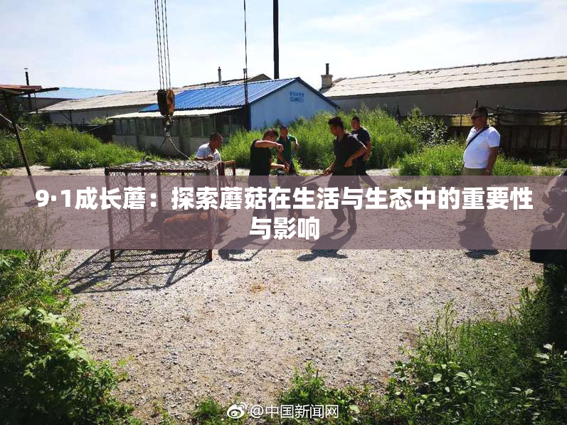 9·1成长蘑：探索蘑菇在生活与生态中的重要性与影响