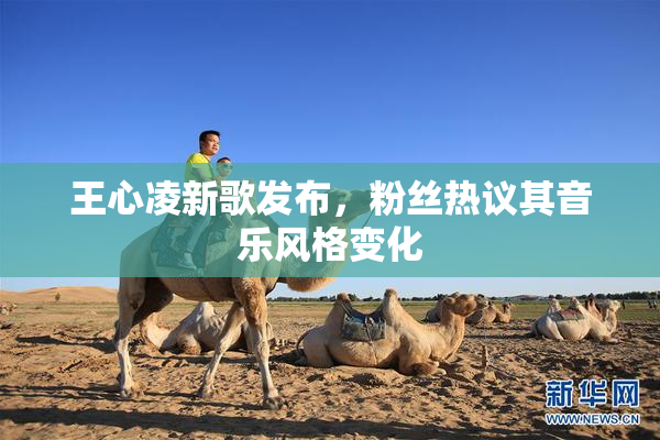 王心凌新歌发布，粉丝热议其音乐风格变化