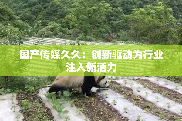 国产传媒久久：创新驱动为行业注入新活力