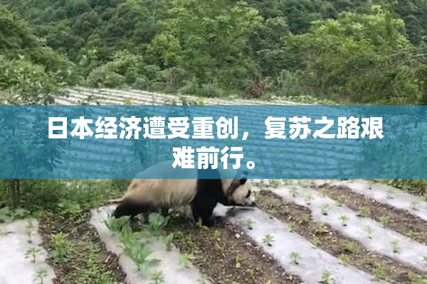 日本经济遭受重创，复苏之路艰难前行。