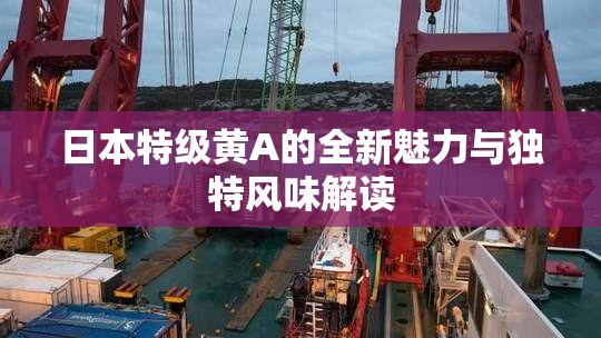 日本特级黄A的全新魅力与独特风味解读