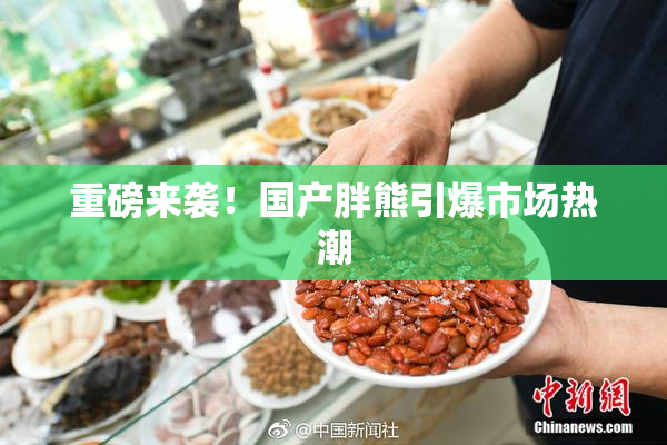 重磅来袭！国产胖熊引爆市场热潮