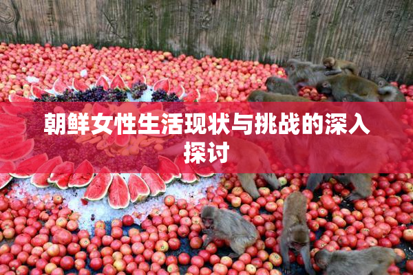 朝鲜女性生活现状与挑战的深入探讨