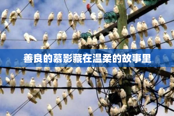 善良的慕影藏在温柔的故事里