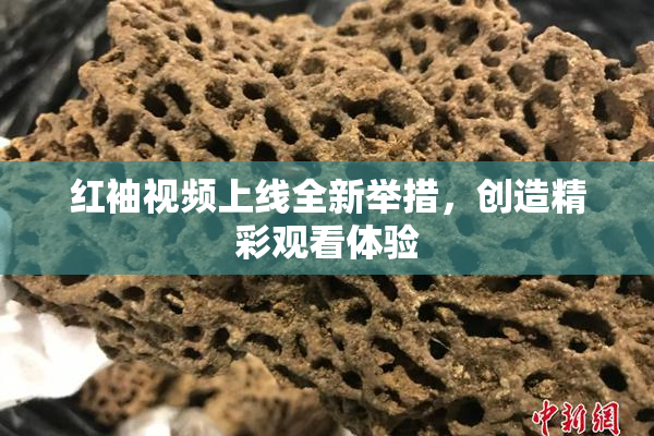 红袖视频上线全新举措，创造精彩观看体验