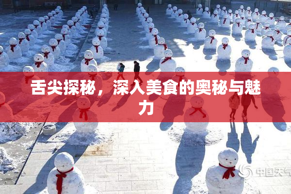 舌尖探秘，深入美食的奥秘与魅力