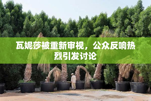 瓦妮莎被重新审视，公众反响热烈引发讨论