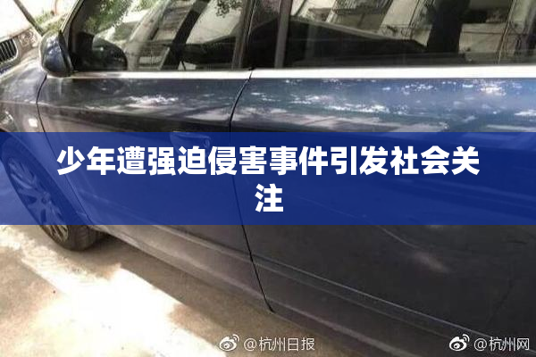 少年遭强迫侵害事件引发社会关注