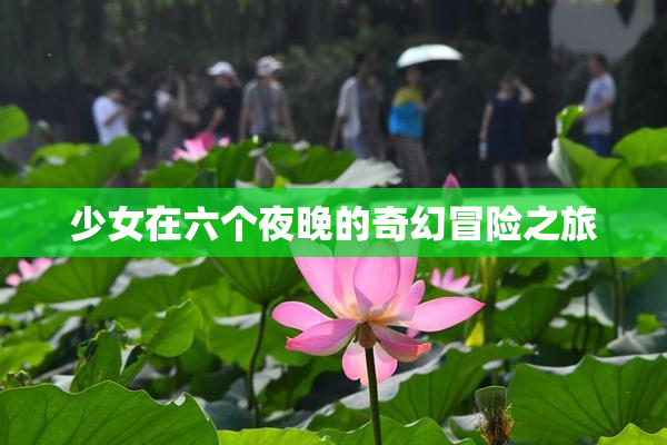 少女在六个夜晚的奇幻冒险之旅