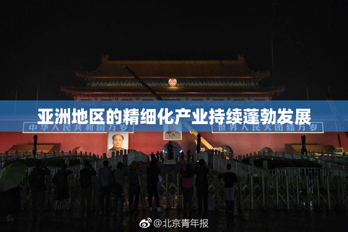 亚洲地区的精细化产业持续蓬勃发展