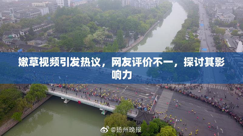 嫩草视频引发热议，网友评价不一，探讨其影响力