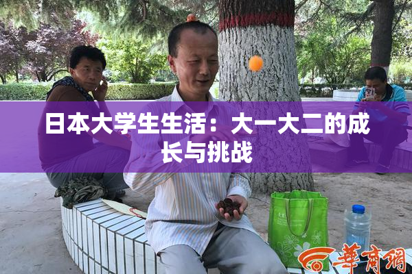 日本大学生生活：大一大二的成长与挑战