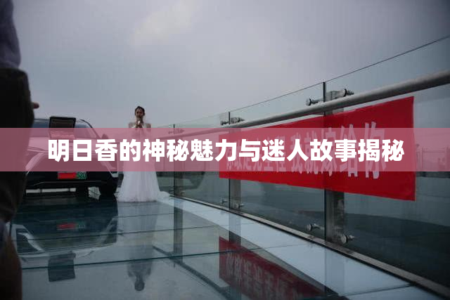 明日香的神秘魅力与迷人故事揭秘