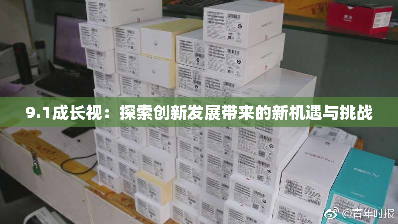 9.1成长视：探索创新发展带来的新机遇与挑战