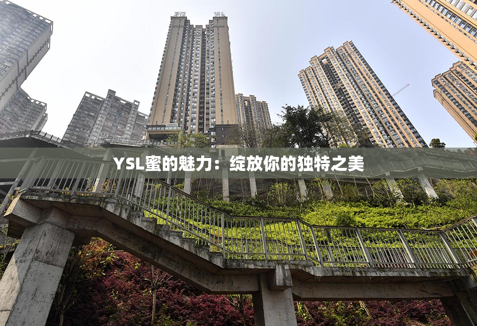 YSL蜜的魅力：绽放你的独特之美