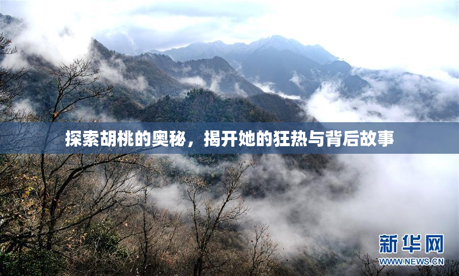 探索胡桃的奥秘，揭开她的狂热与背后故事