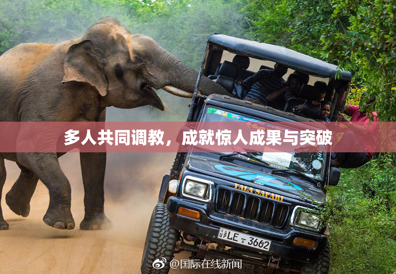 多人共同调教，成就惊人成果与突破