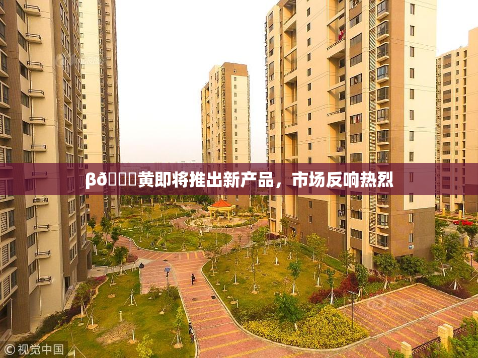 β🔞黄即将推出新产品，市场反响热烈