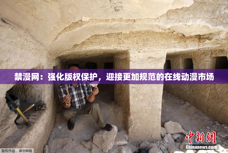 禁漫网：强化版权保护，迎接更加规范的在线动漫市场