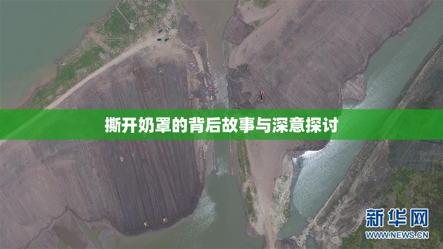 撕开奶罩的背后故事与深意探讨