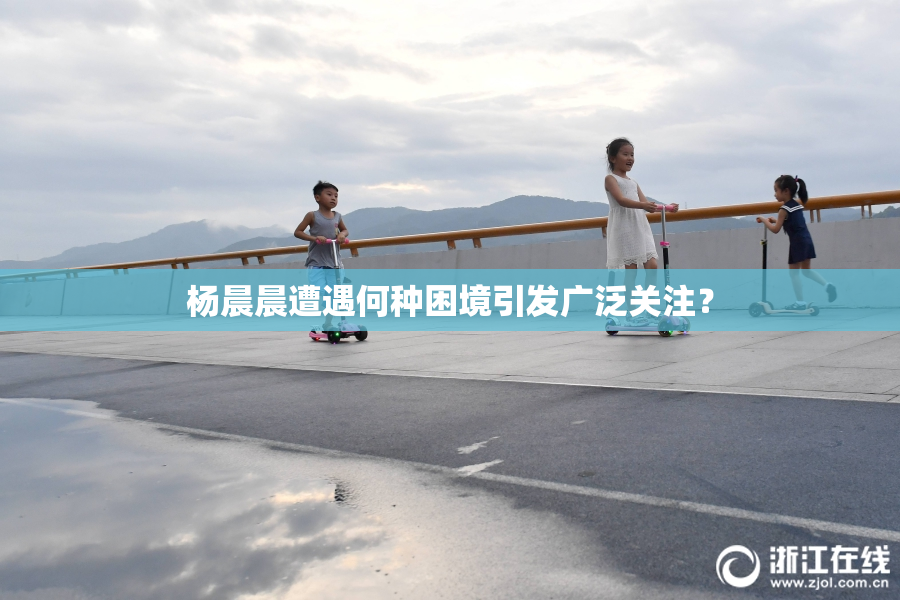 杨晨晨遭遇何种困境引发广泛关注？
