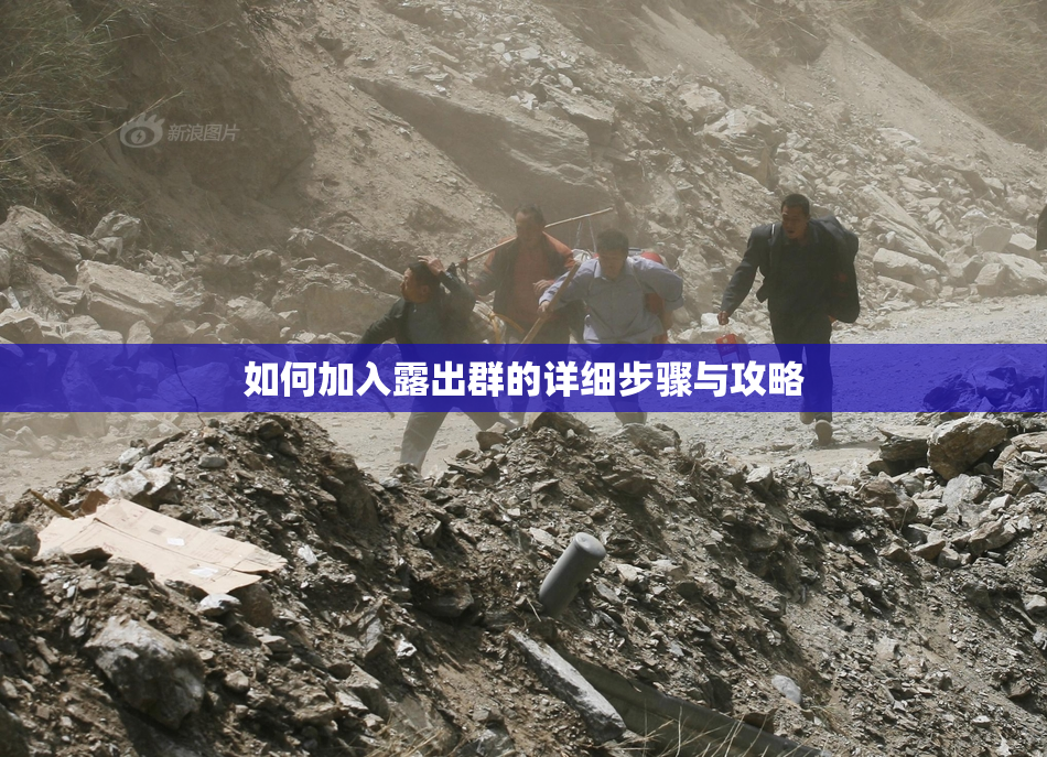 如何加入露出群的详细步骤与攻略