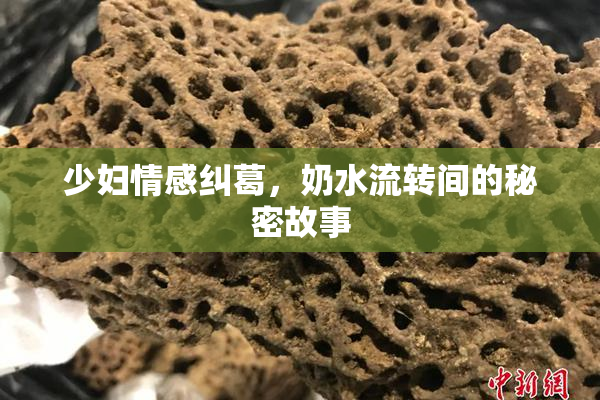 少妇情感纠葛，奶水流转间的秘密故事