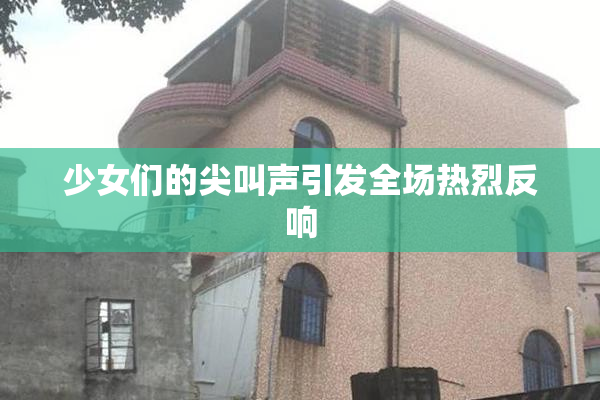 少女们的尖叫声引发全场热烈反响