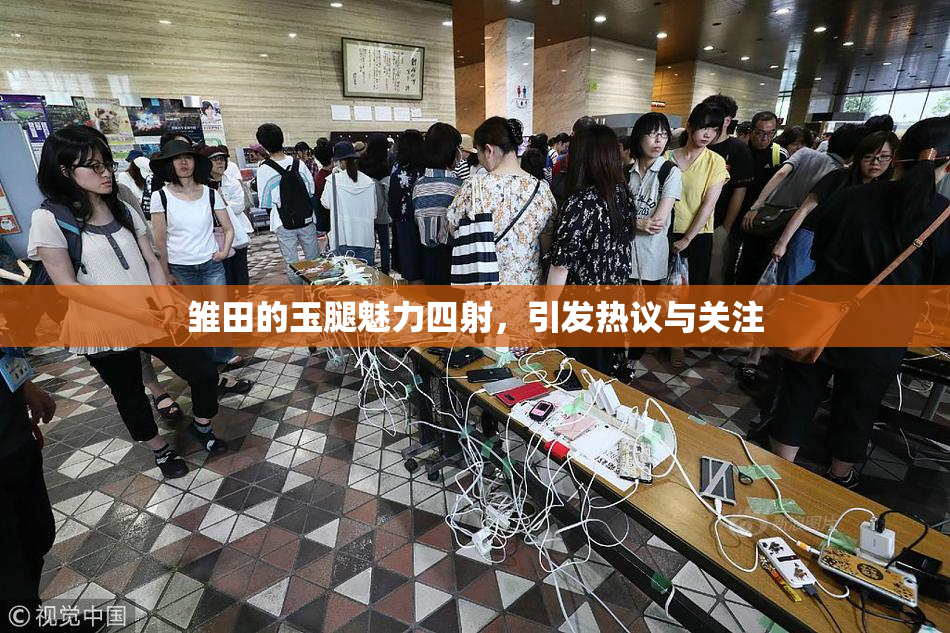雏田的玉腿魅力四射，引发热议与关注
