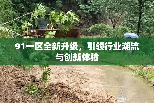 91一区全新升级，引领行业潮流与创新体验