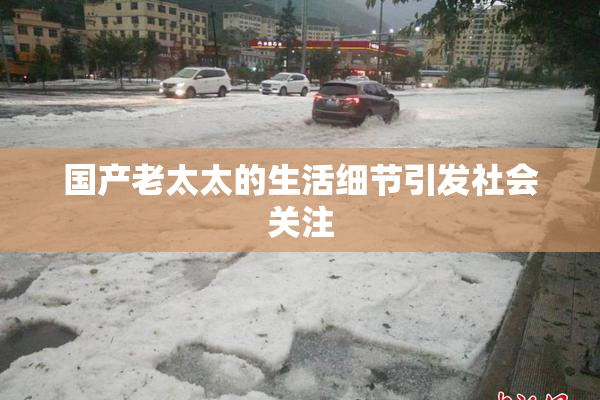 国产老太太的生活细节引发社会关注