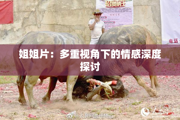 姐姐片：多重视角下的情感深度探讨