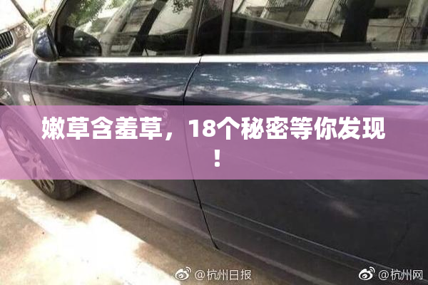 嫩草含羞草，18个秘密等你发现！