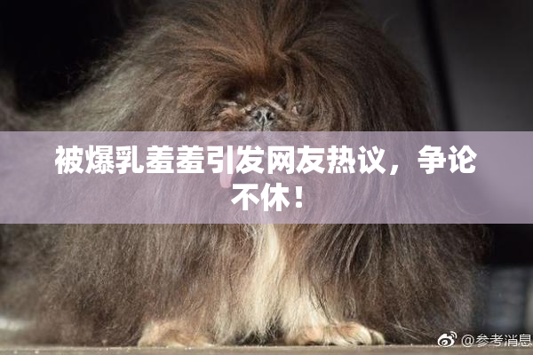 被爆乳羞羞引发网友热议，争论不休！
