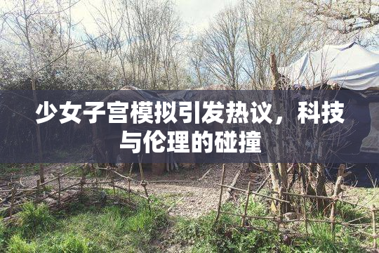 少女子宫模拟引发热议，科技与伦理的碰撞
