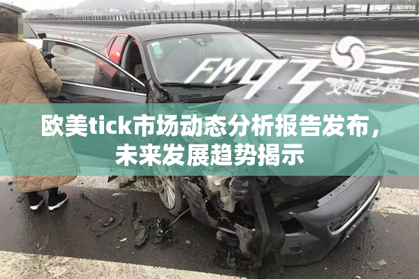 欧美tick市场动态分析报告发布，未来发展趋势揭示