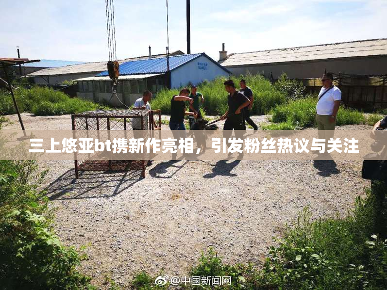 三上悠亚bt携新作亮相，引发粉丝热议与关注