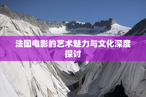 法国电影的艺术魅力与文化深度探讨