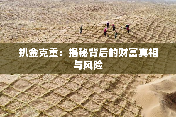 扒金克重：揭秘背后的财富真相与风险