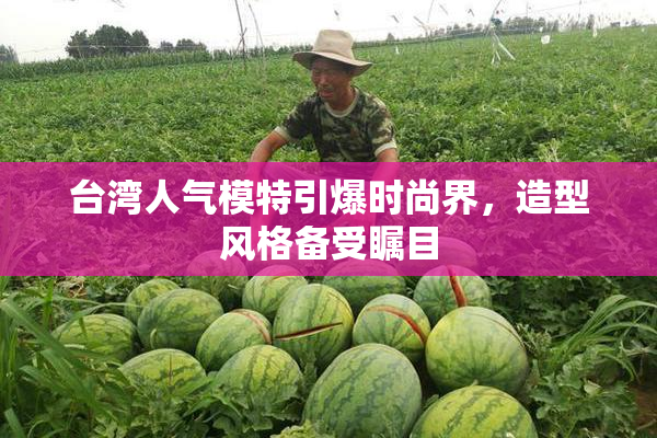 台湾人气模特引爆时尚界，造型风格备受瞩目