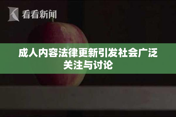 成人内容法律更新引发社会广泛关注与讨论