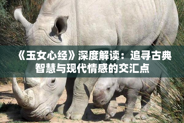 《玉女心经》深度解读：追寻古典智慧与现代情感的交汇点