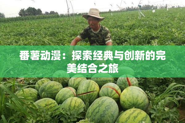 番薯动漫：探索经典与创新的完美结合之旅