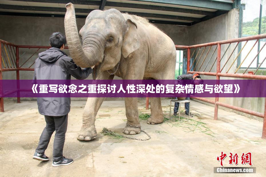 《重写欲念之重探讨人性深处的复杂情感与欲望》