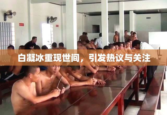 白凝冰重现世间，引发热议与关注