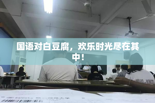 国语对白豆腐，欢乐时光尽在其中！
