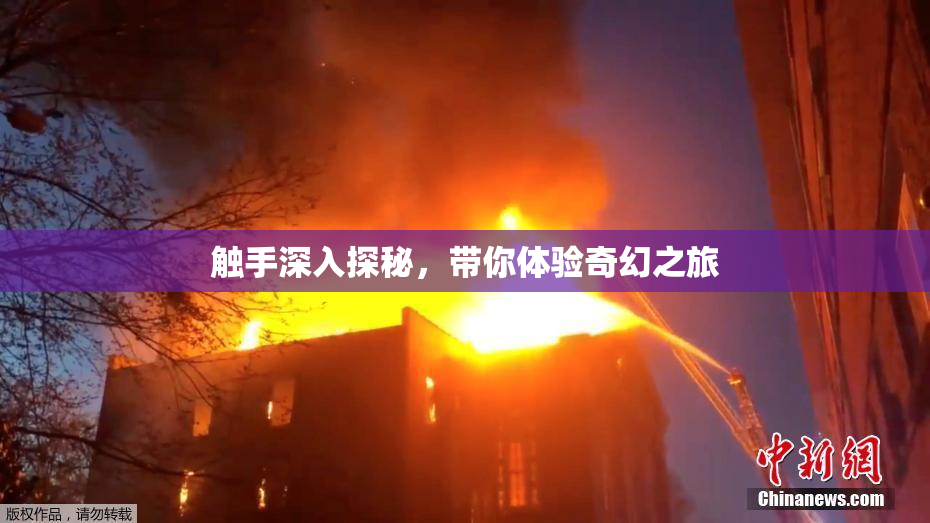 触手深入探秘，带你体验奇幻之旅