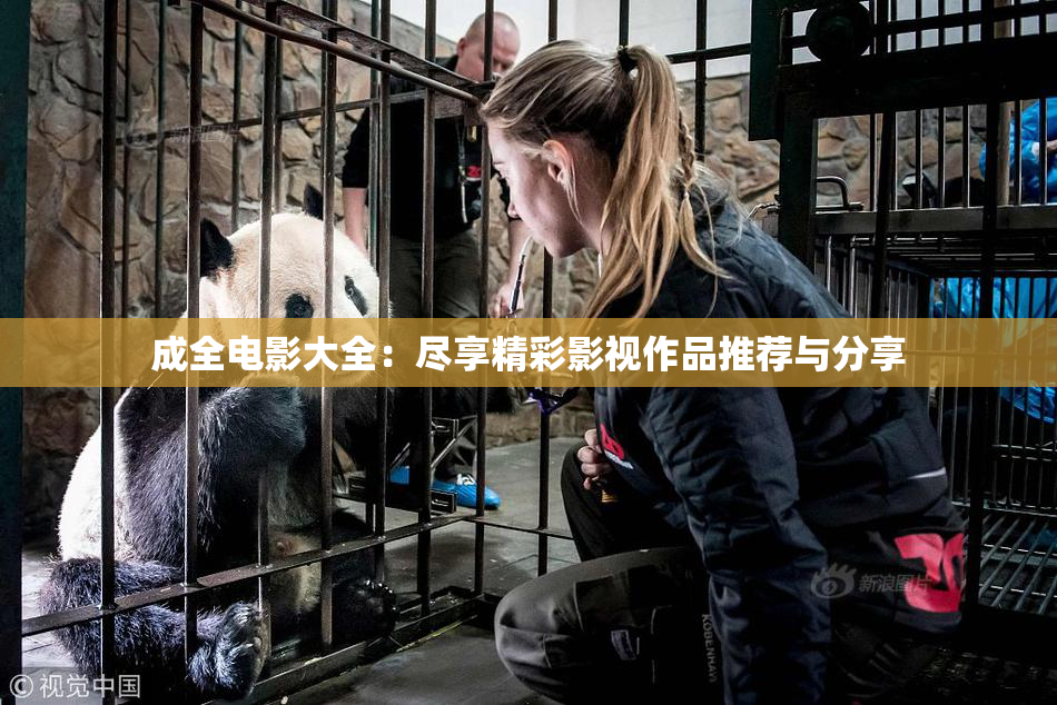 成全电影大全：尽享精彩影视作品推荐与分享