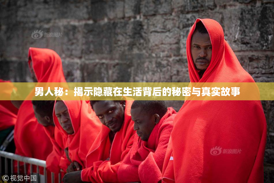 男人秘：揭示隐藏在生活背后的秘密与真实故事